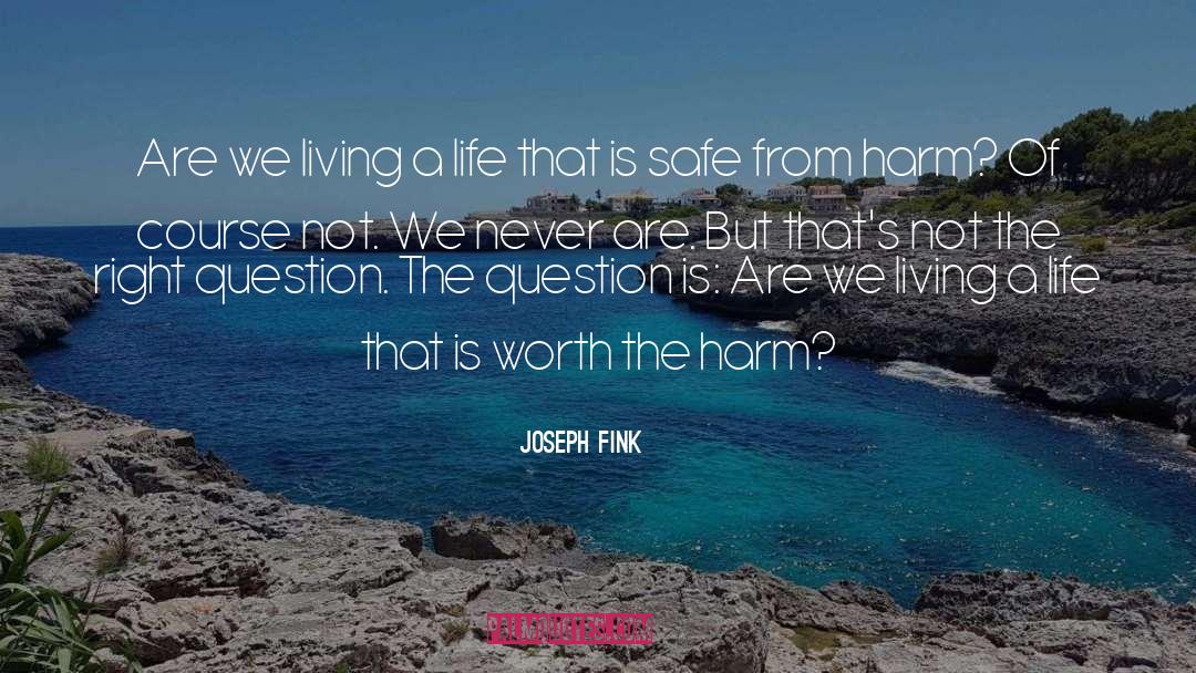 Living A Life quotes by Joseph Fink