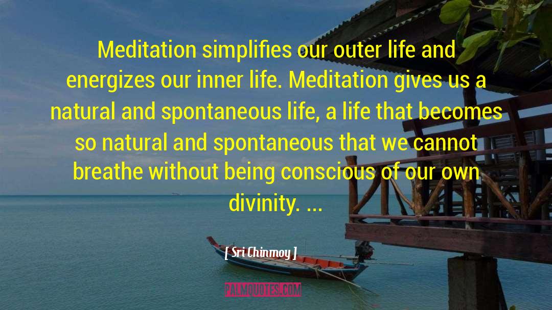 Living A Natural Life quotes by Sri Chinmoy