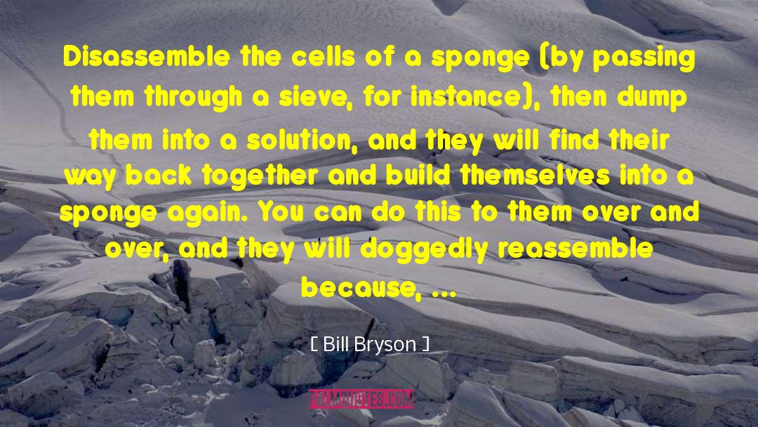 Living And Loving quotes by Bill Bryson