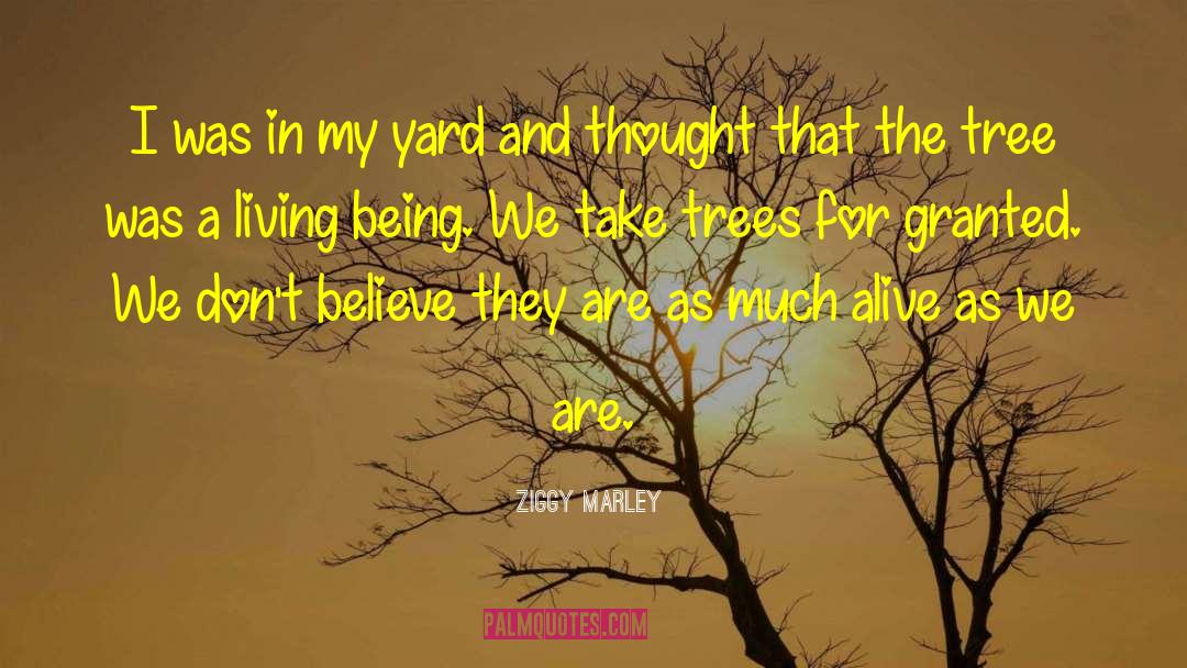 Living Being quotes by Ziggy Marley