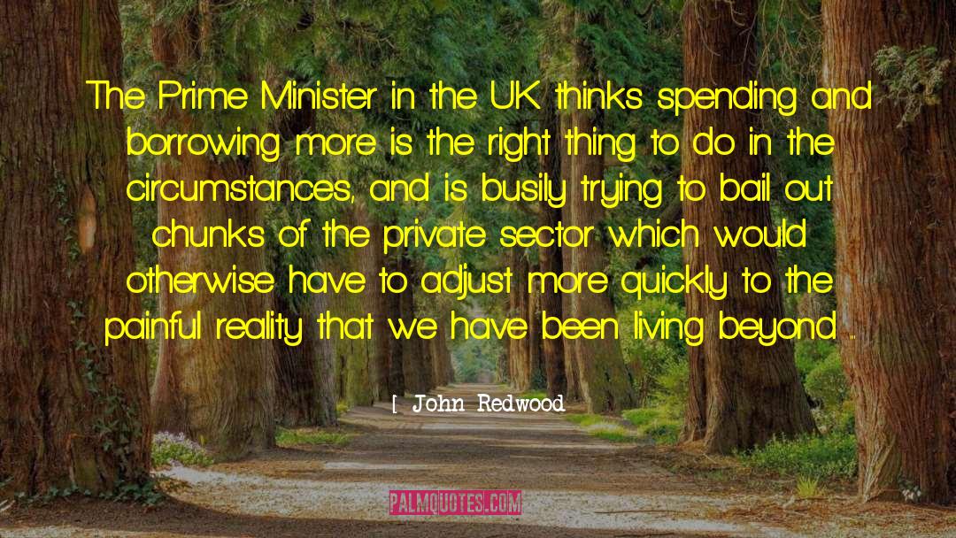 Living Beyond quotes by John Redwood