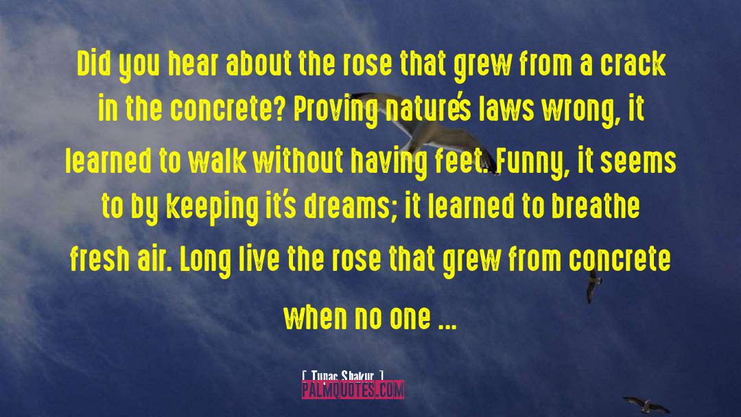 Living Dreams quotes by Tupac Shakur