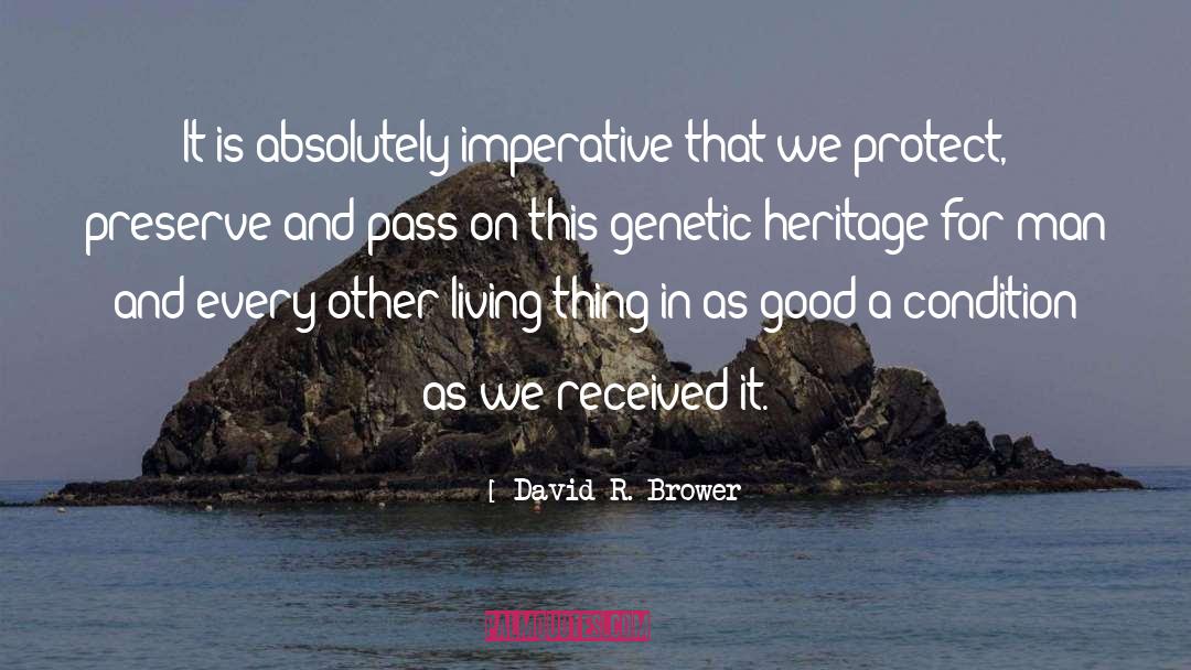 Living Effortlessly quotes by David R. Brower