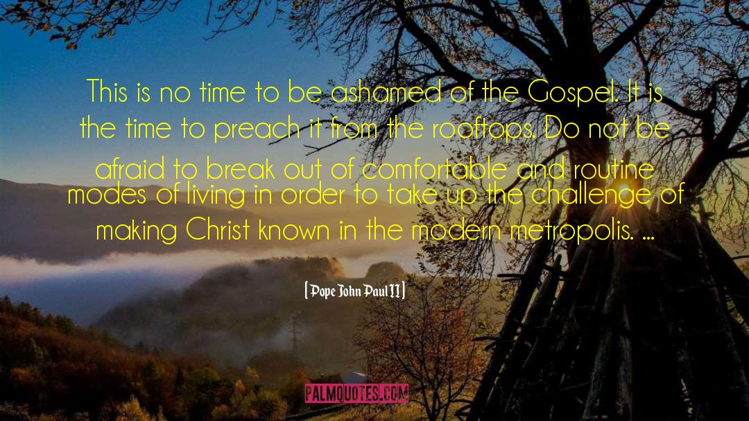 Living In The City quotes by Pope John Paul II