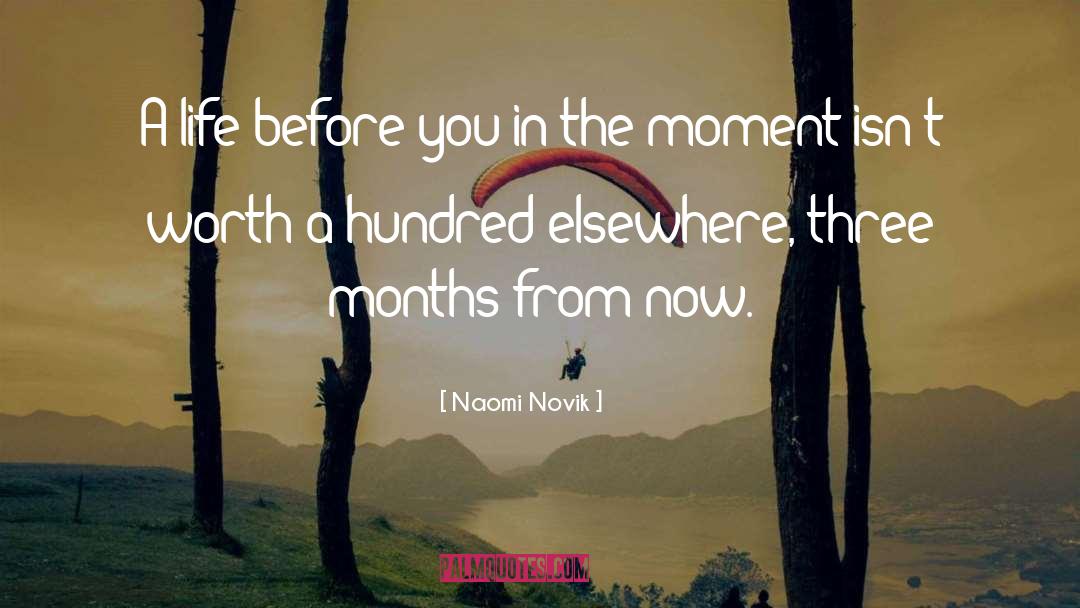 Living In The Now quotes by Naomi Novik