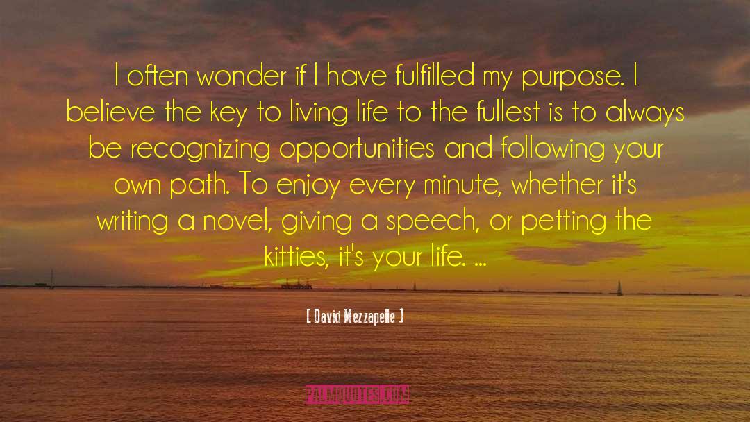 Living Life To The Fullest quotes by David Mezzapelle