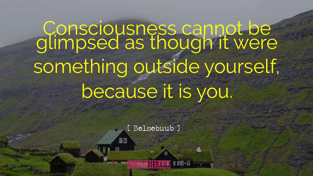 Living Outside Yourself quotes by Belsebuub