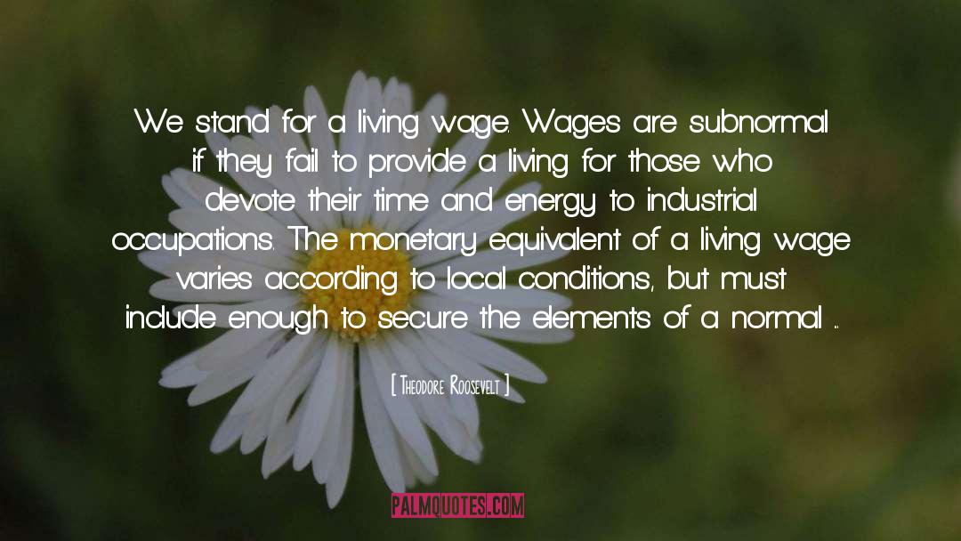 Living Wage quotes by Theodore Roosevelt