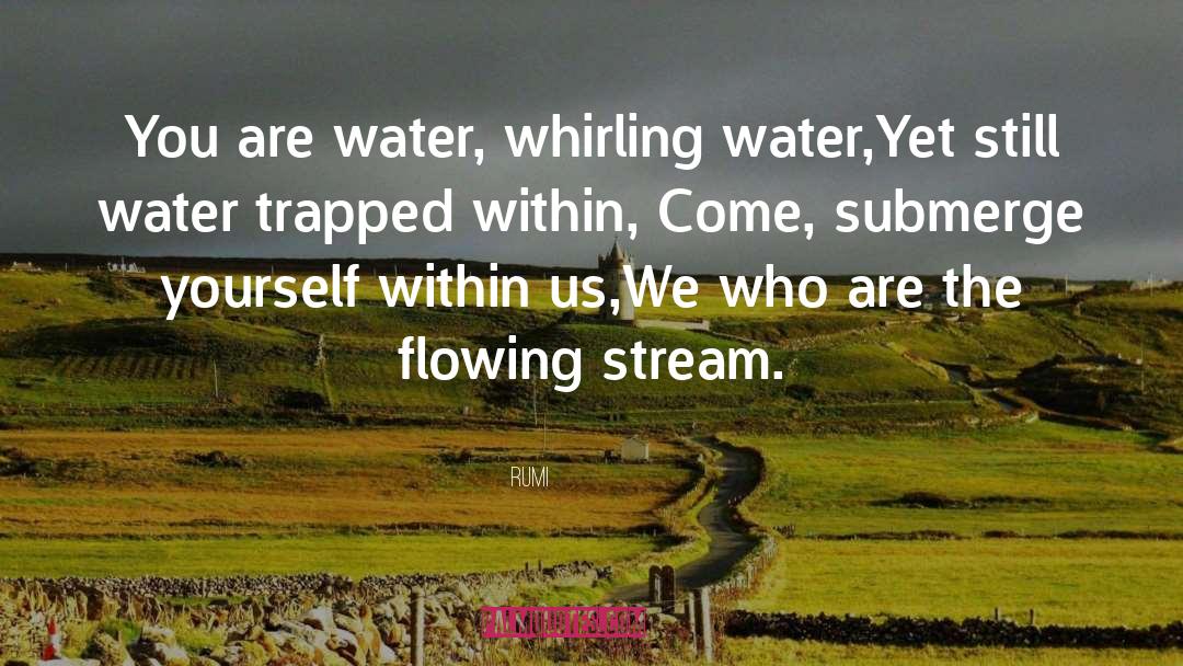Living Water quotes by Rumi