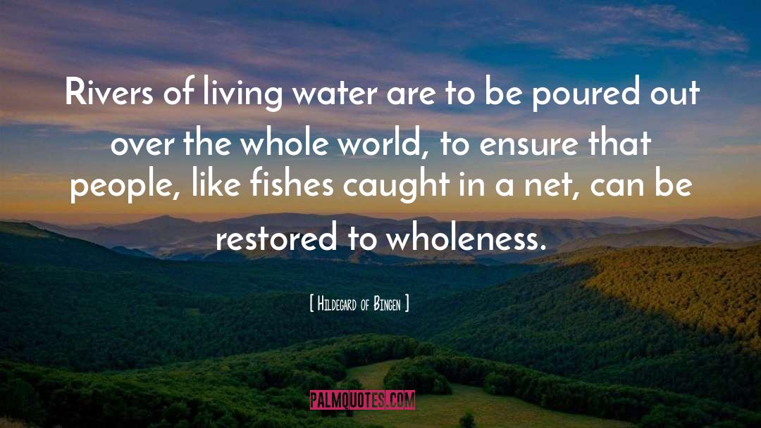 Living Water quotes by Hildegard Of Bingen
