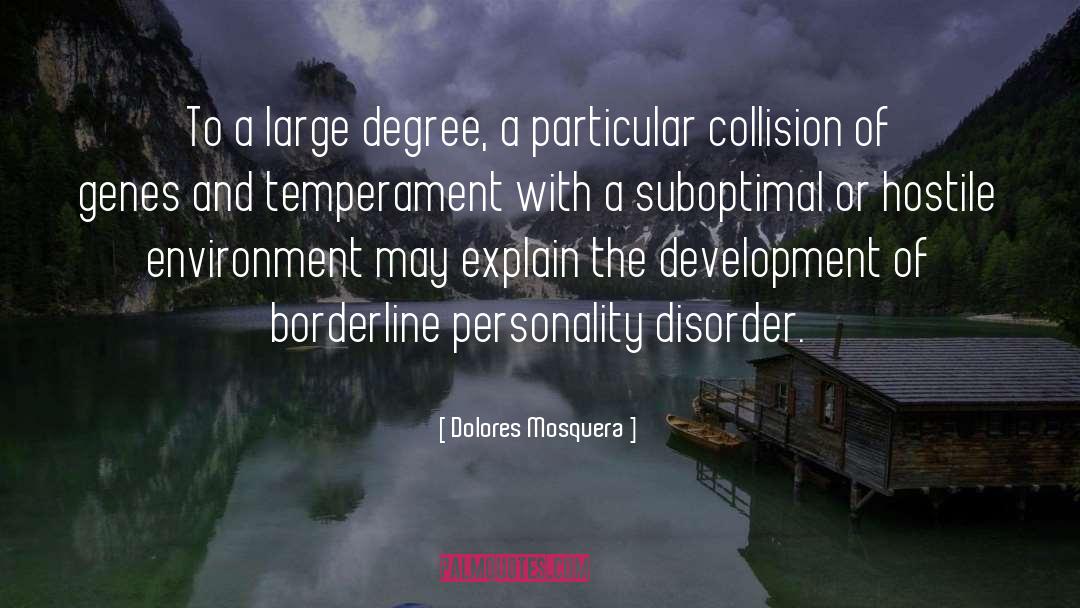 Living With Borderline Personality Disorder quotes by Dolores Mosquera