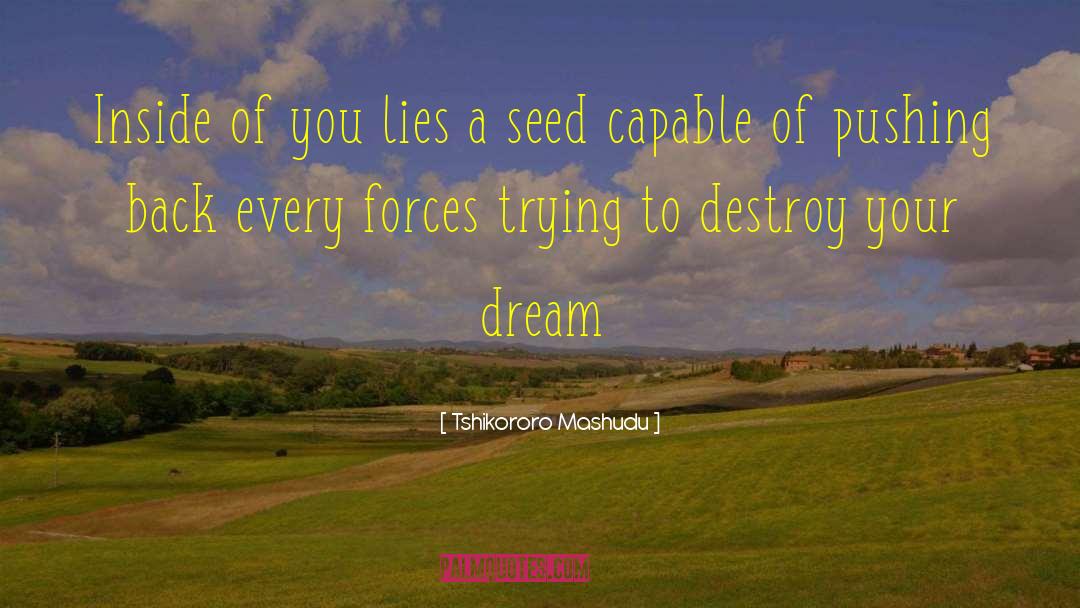 Living Your Dream quotes by Tshikororo Mashudu
