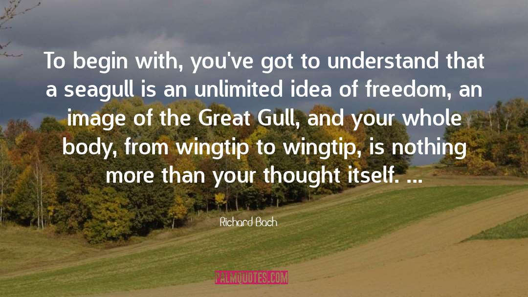 Livingston Seagull quotes by Richard Bach