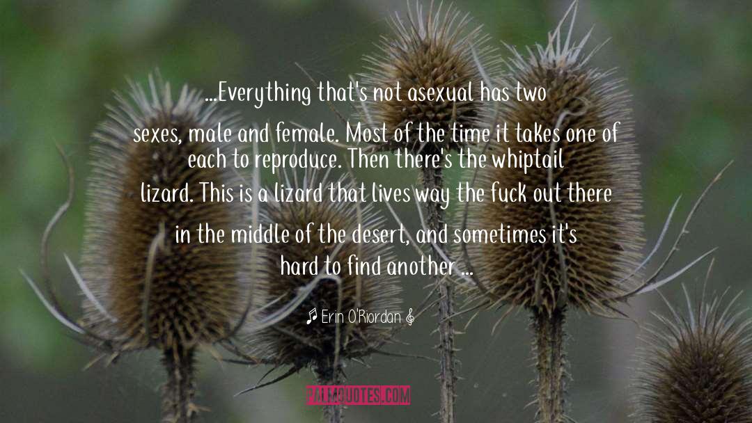 Lizard quotes by Erin O'Riordan