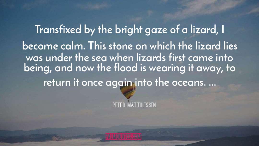 Lizard quotes by Peter Matthiessen