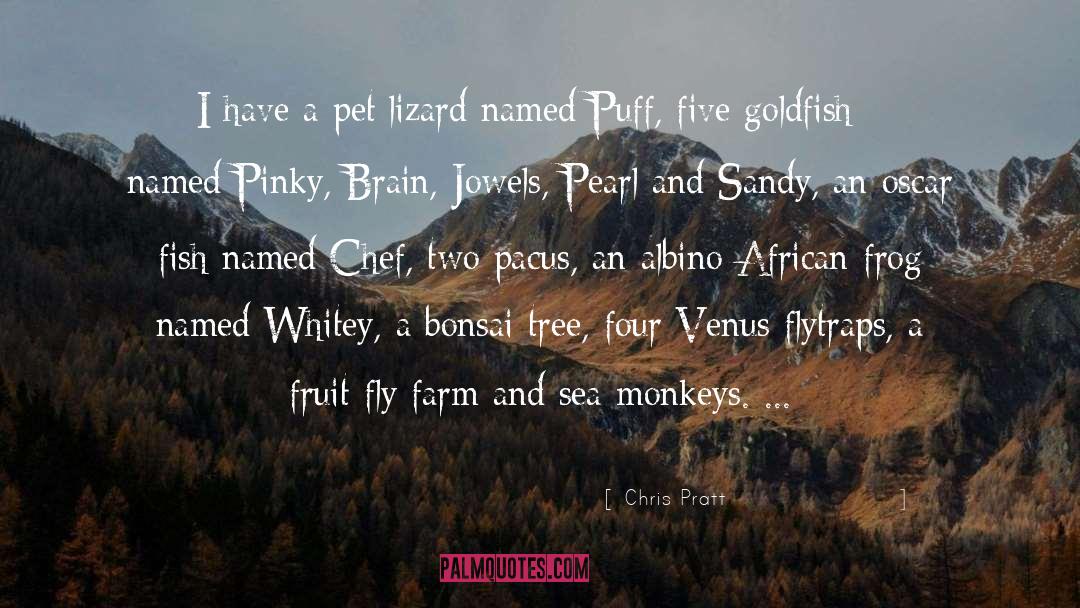 Lizard quotes by Chris Pratt