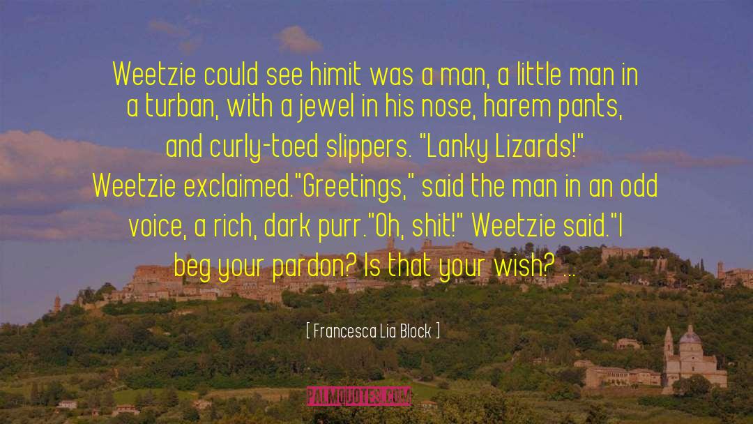 Lizards quotes by Francesca Lia Block