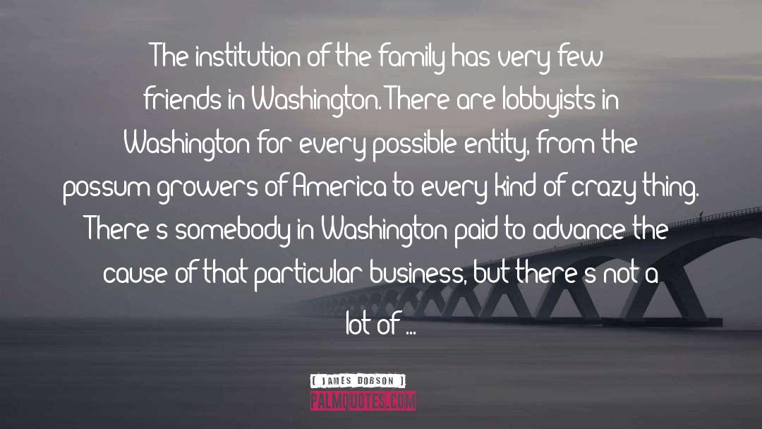 Lobbyists quotes by James Dobson