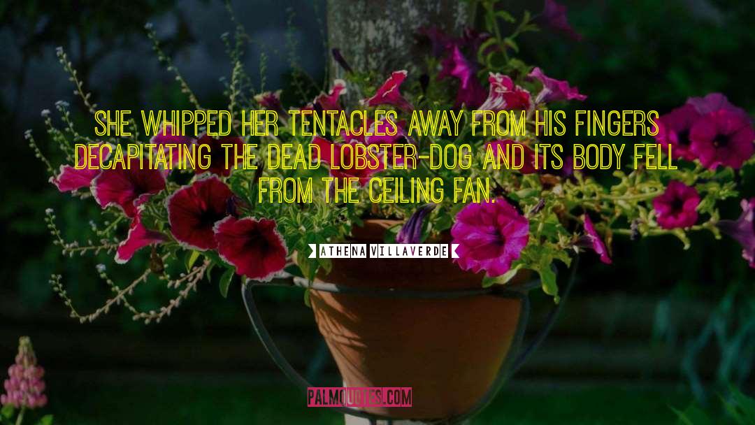 Lobster quotes by Athena Villaverde