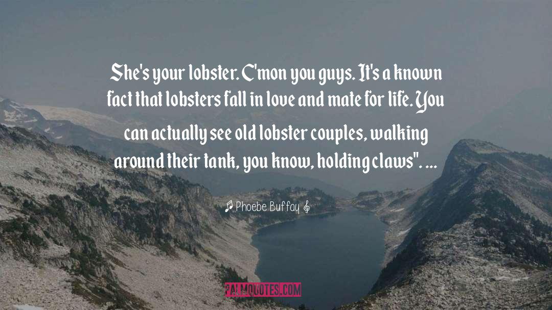 Lobster quotes by Phoebe Buffay