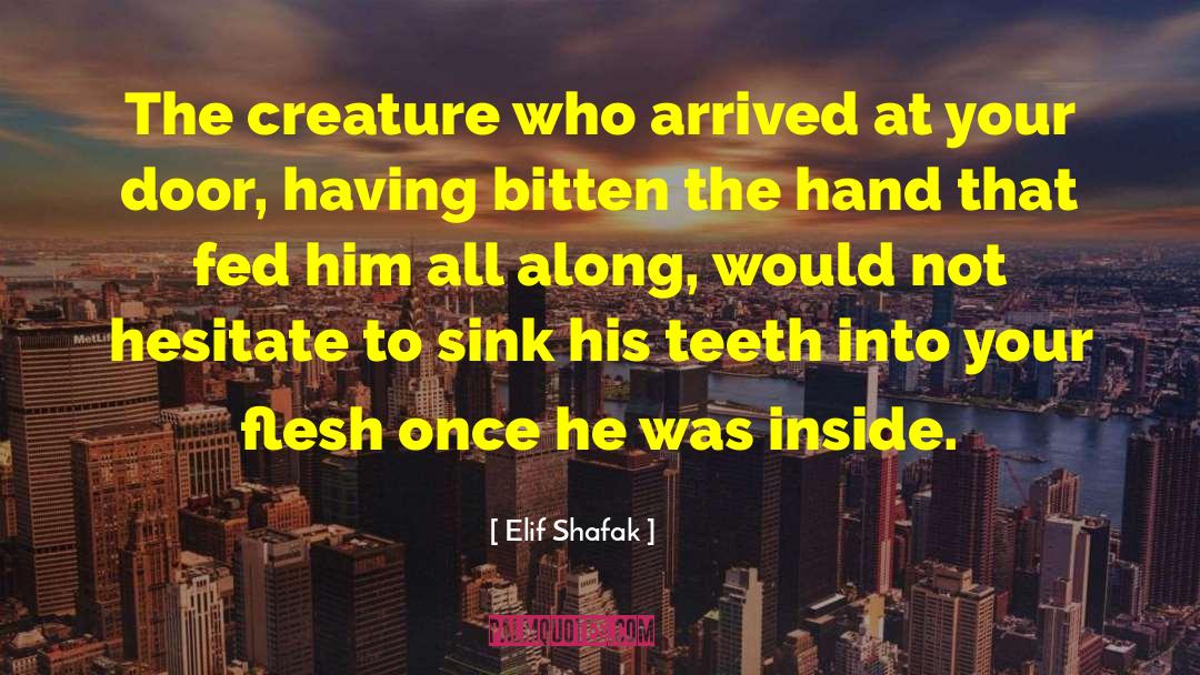 Locked Door quotes by Elif Shafak