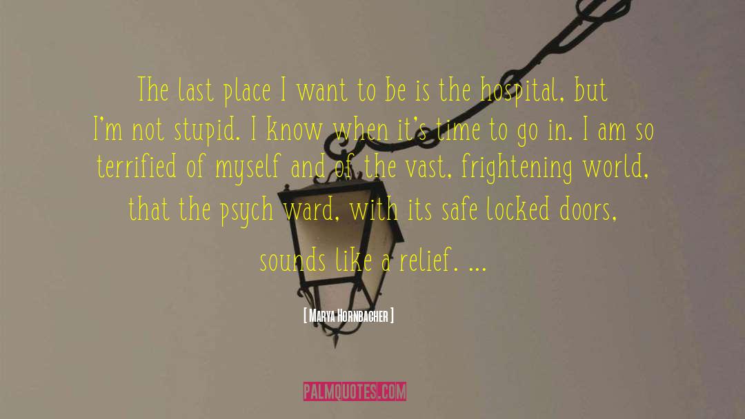 Locked Doors quotes by Marya Hornbacher