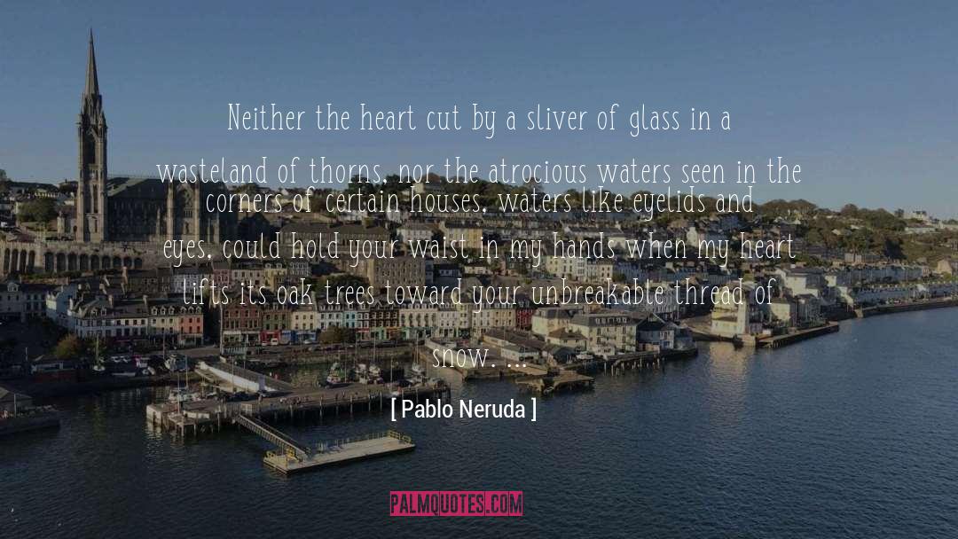 Locked Doors quotes by Pablo Neruda