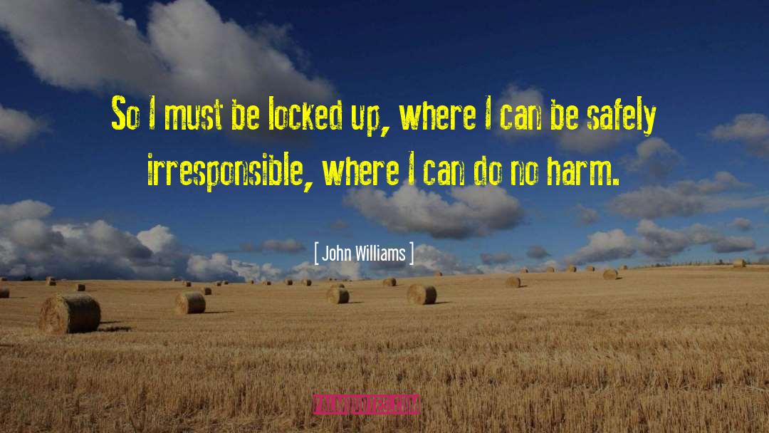 Locked Up quotes by John Williams