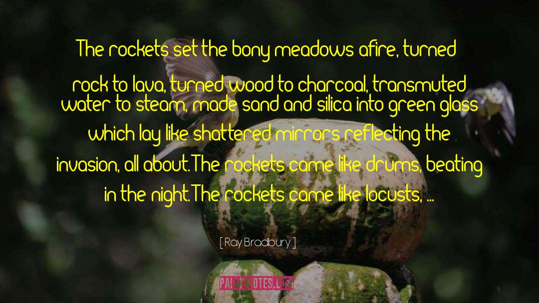 Locusts quotes by Ray Bradbury