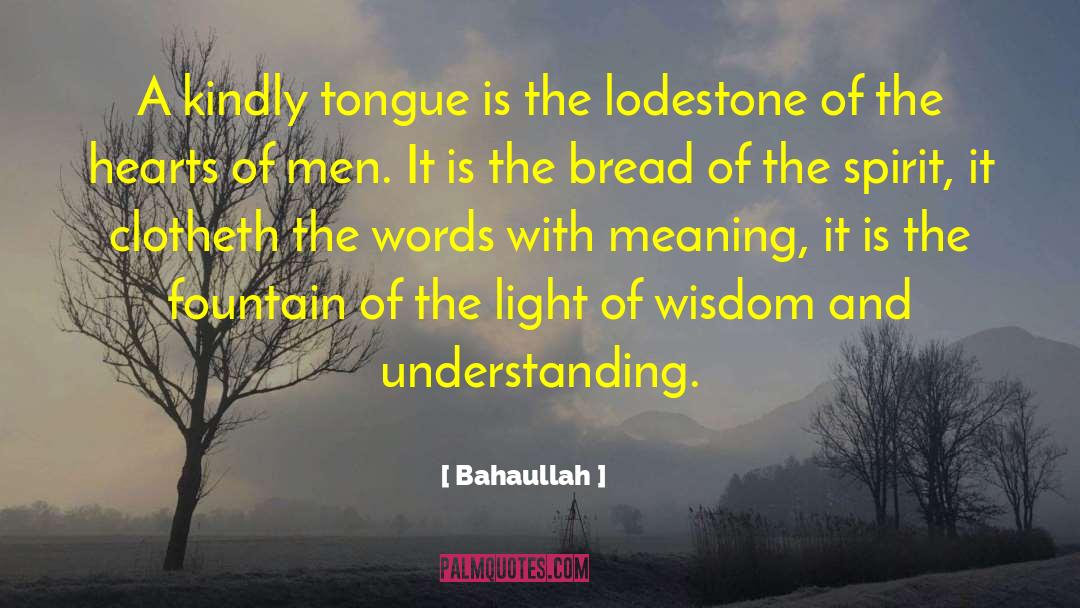 Lodestone quotes by Bahaullah