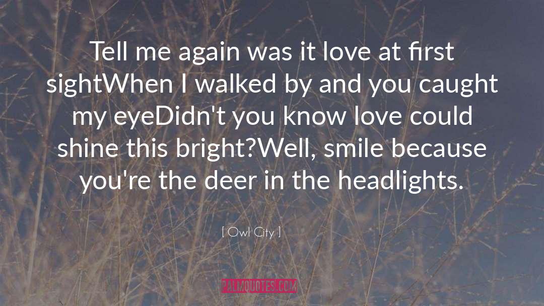 Lodges At Deer quotes by Owl City