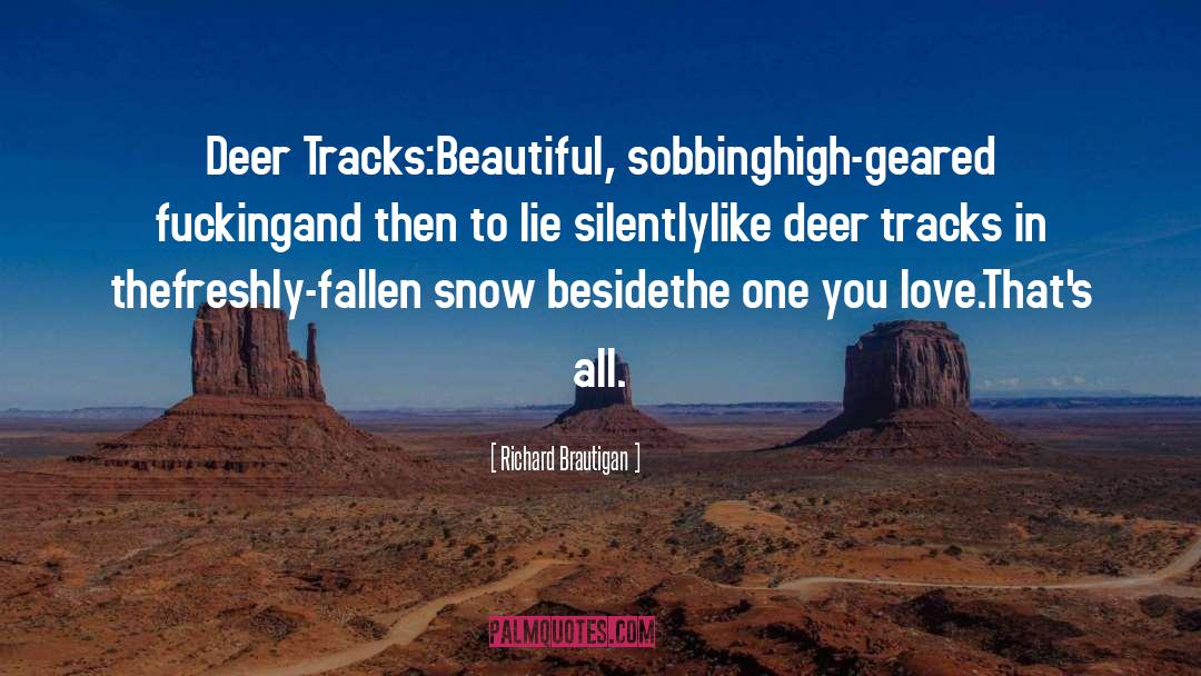 Lodges At Deer quotes by Richard Brautigan