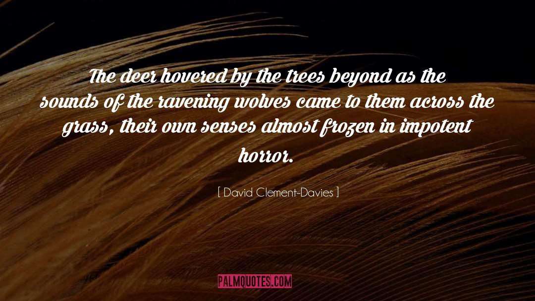 Lodges At Deer quotes by David Clement-Davies
