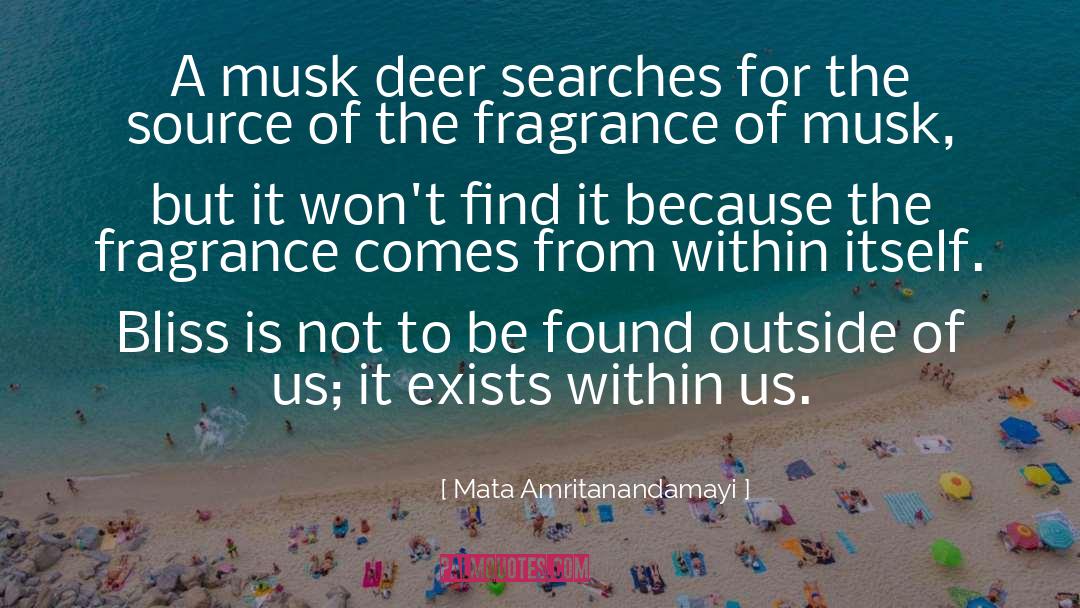 Lodges At Deer quotes by Mata Amritanandamayi