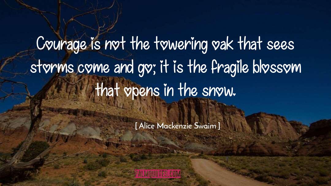 Logan Mackenzie quotes by Alice Mackenzie Swaim