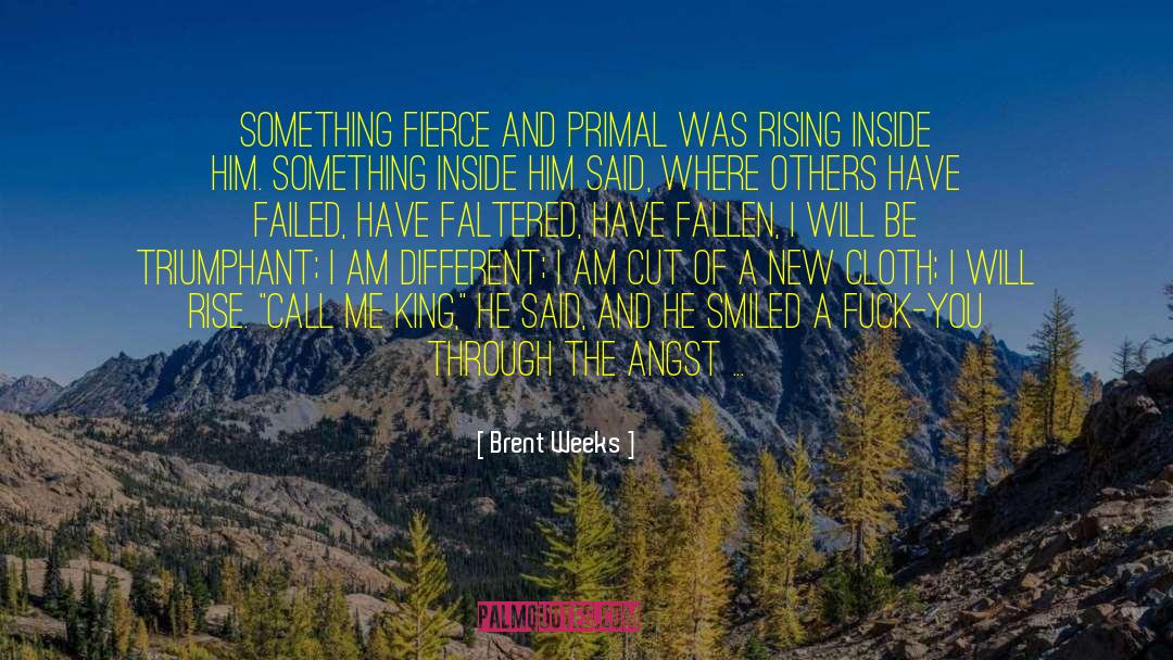 Logan Reed quotes by Brent Weeks
