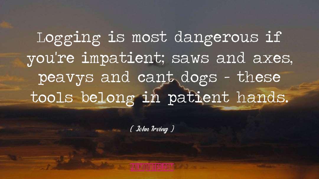 Logging quotes by John Irving