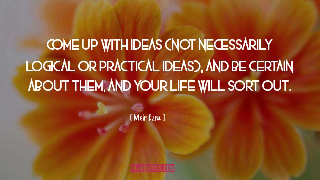 Logical Inconsistency quotes by Meir Ezra