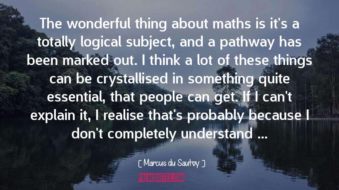 Logical quotes by Marcus Du Sautoy