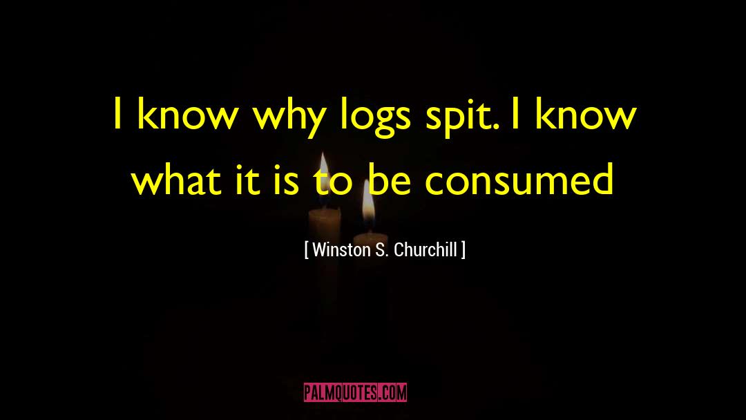 Logs quotes by Winston S. Churchill