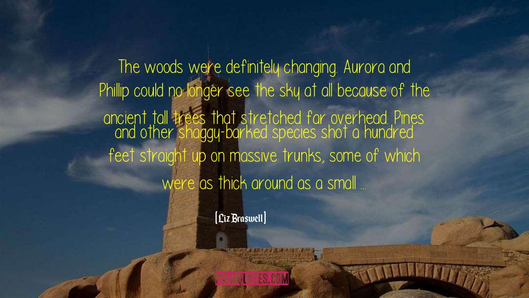 Logs quotes by Liz Braswell