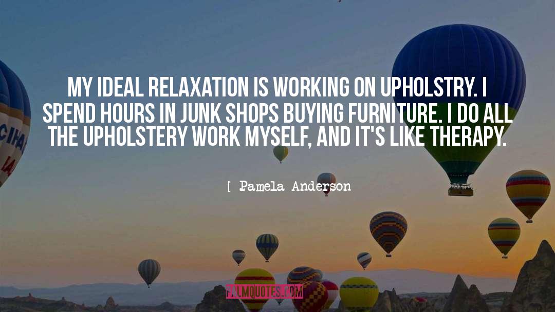 Lolls Furniture quotes by Pamela Anderson