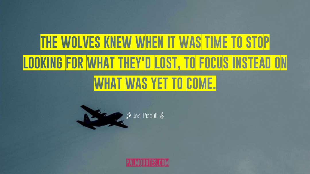Lone Wolf Biker quotes by Jodi Picoult