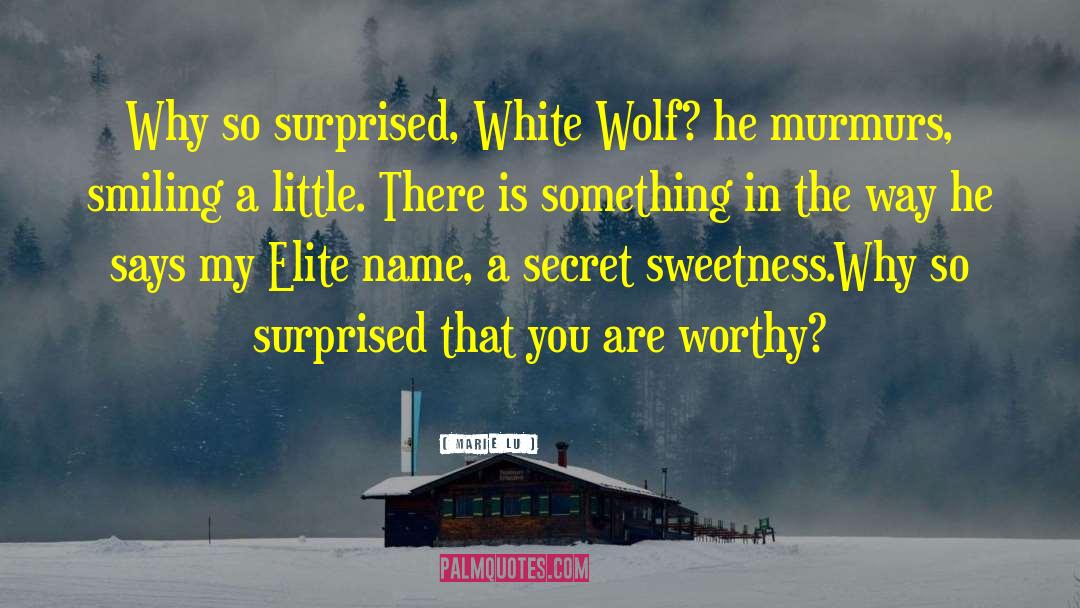 Lone Wolf quotes by Marie Lu