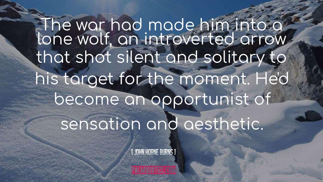 Lone Wolf quotes by John Horne Burns