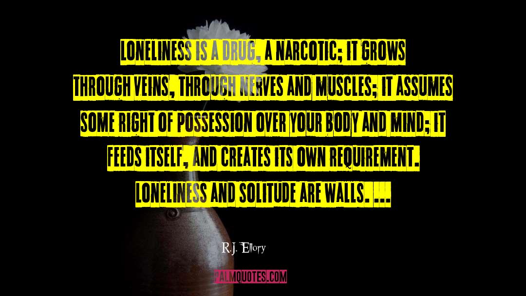 Loneliness And Solitude quotes by R.J. Ellory