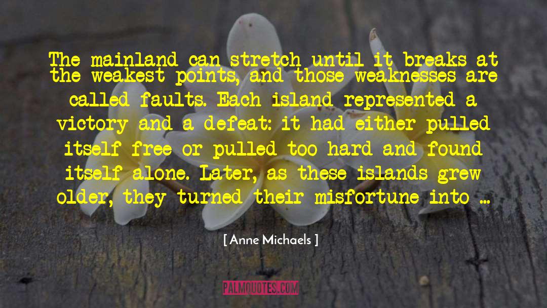 Loneliness Or Solitude quotes by Anne Michaels