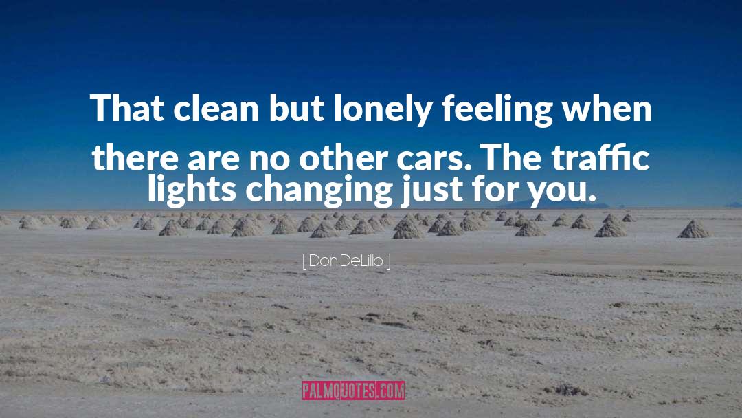 Lonely Feeling quotes by Don DeLillo