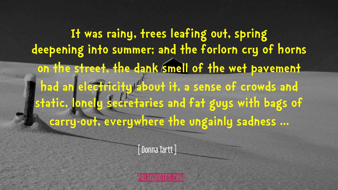 Lonely Lullaby quotes by Donna Tartt