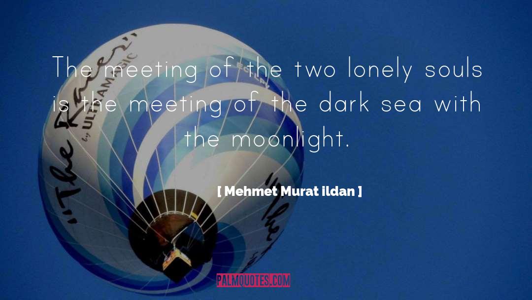 Lonely Soul quotes by Mehmet Murat Ildan
